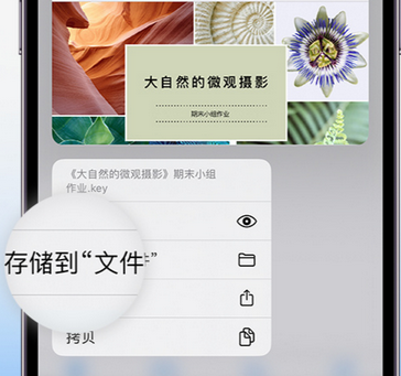 曹县apple维修中心分享iPhone文件应用中存储和找到下载文件