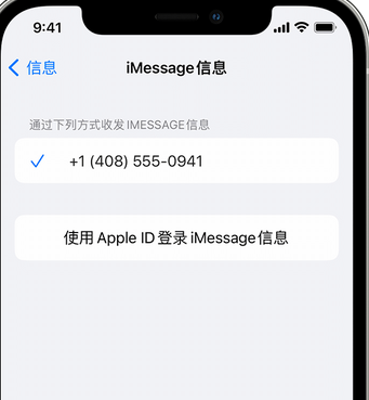 曹县apple维修iPhone上无法正常发送iMessage信息 