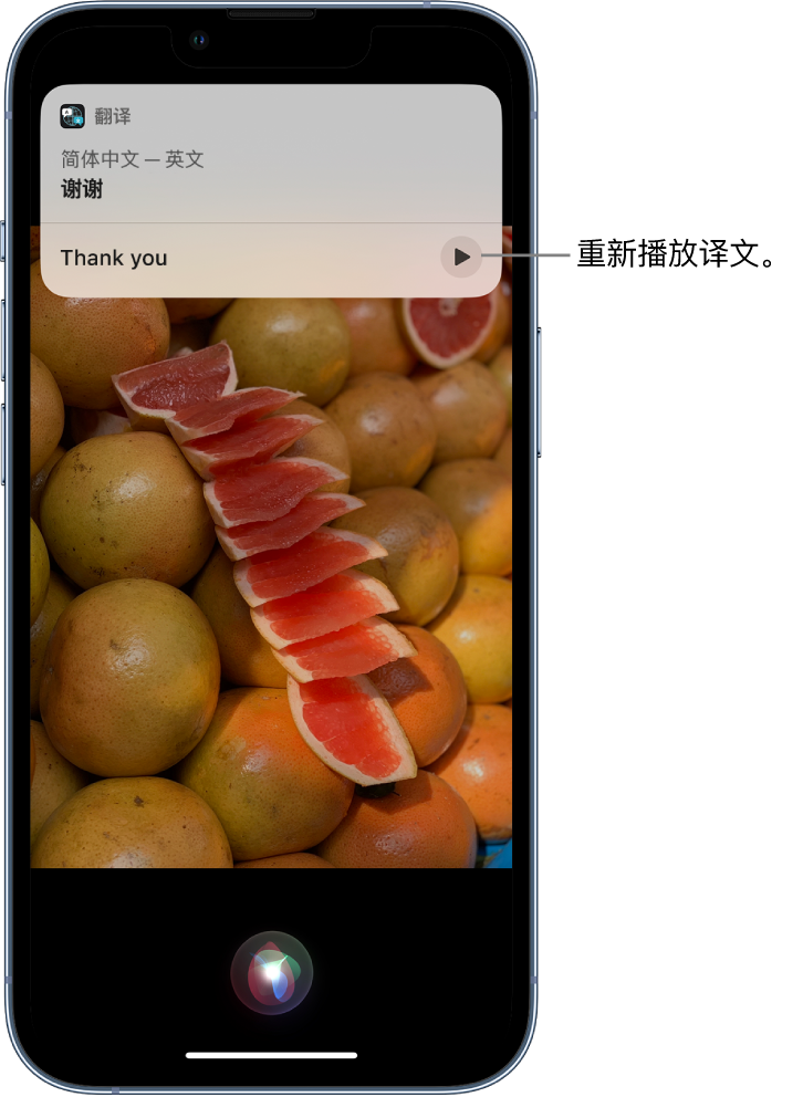 曹县苹果14维修分享 iPhone 14 机型中使用 Siri：了解 Siri 能帮你做什么 