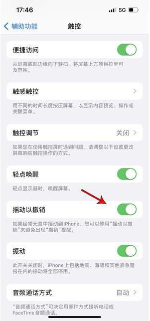 曹县苹果手机维修分享iPhone手机如何设置摇一摇删除文字 